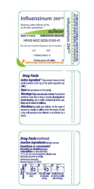 Label (Influenzinum 200ck 0220 5103 41)